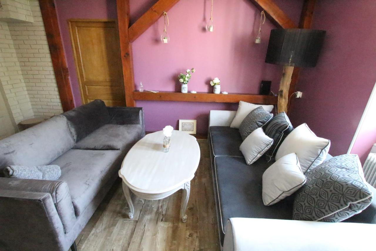 Colmar City Center - Apartment Duplex Marigny - Bookingalsace Bagian luar foto